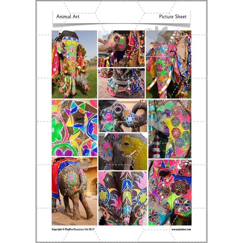 PlanBee Animal Art lessons and planning for KS1 created by PlanBee