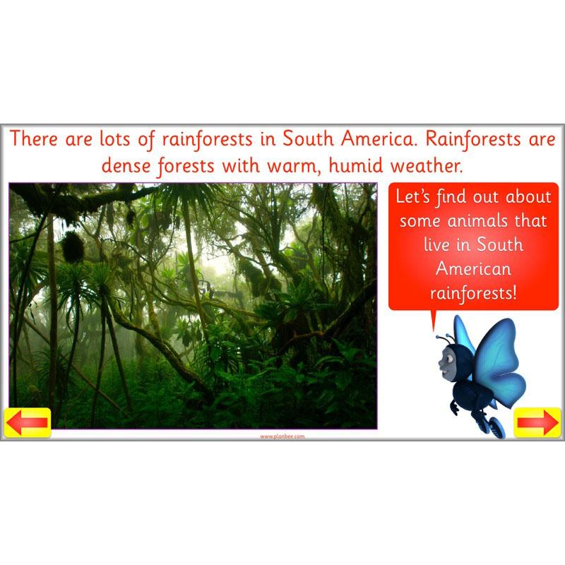 PlanBee Animal Art lessons and planning for KS1 created by PlanBee