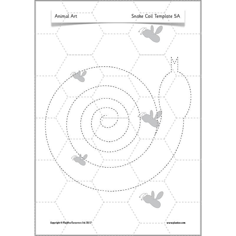 PlanBee Animal Art lessons and planning for KS1 created by PlanBee