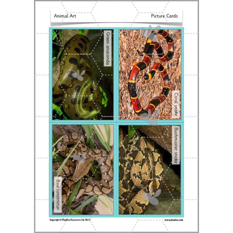 PlanBee Animal Art lessons and planning for KS1 created by PlanBee
