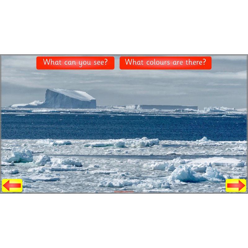 PlanBee Animal Art lessons and planning for KS1 created by PlanBee