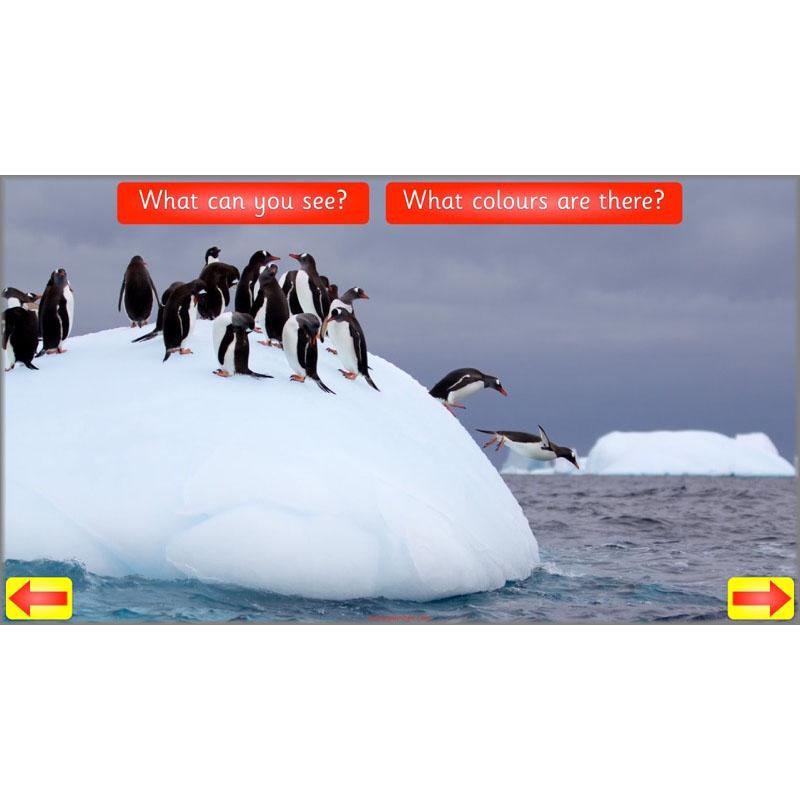 PlanBee Animal Art lessons and planning for KS1 created by PlanBee