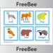 PlanBee Animal Flashcards | Free Teaching Resources | PlanBee