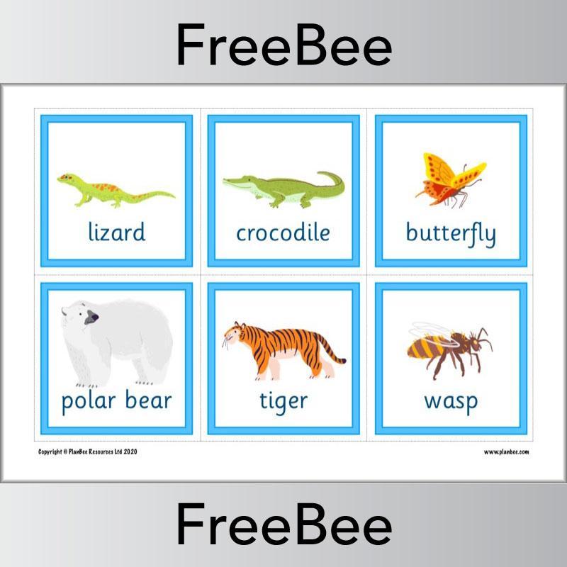 PlanBee Animal Flashcards | Free Teaching Resources | PlanBee