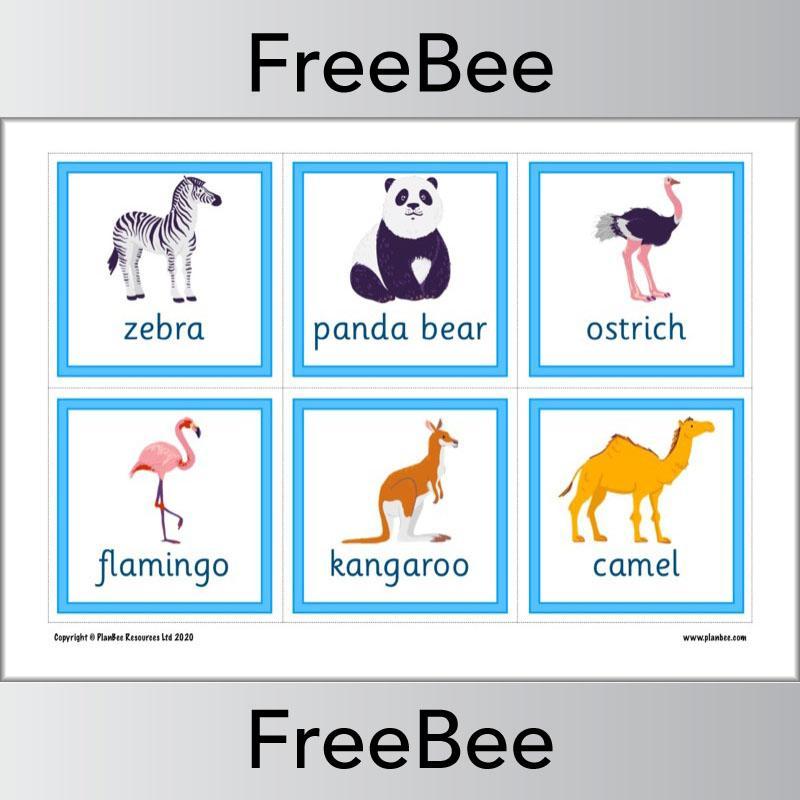 PlanBee Animal Flashcards | Free Teaching Resources | PlanBee