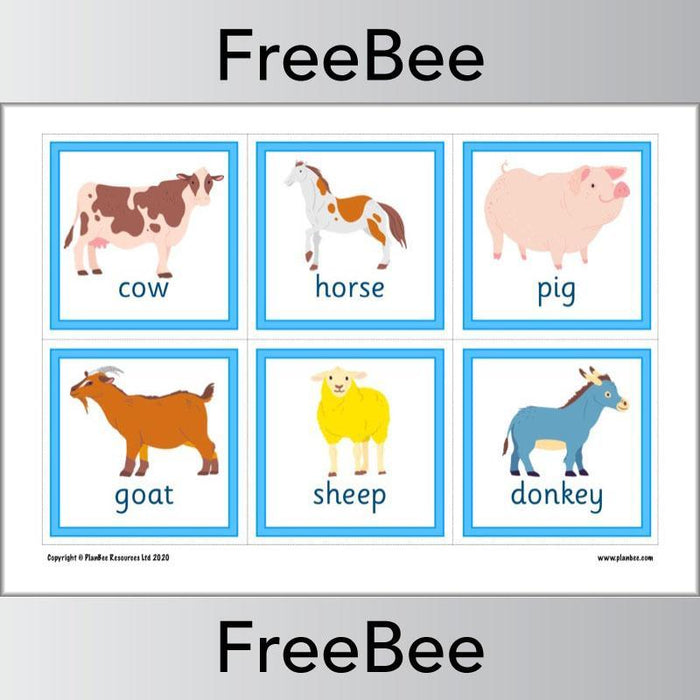 PlanBee Animal Flashcards | Free Teaching Resources | PlanBee
