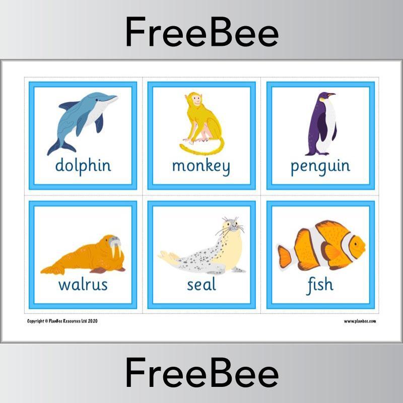 PlanBee Animal Flashcards | Free Teaching Resources | PlanBee