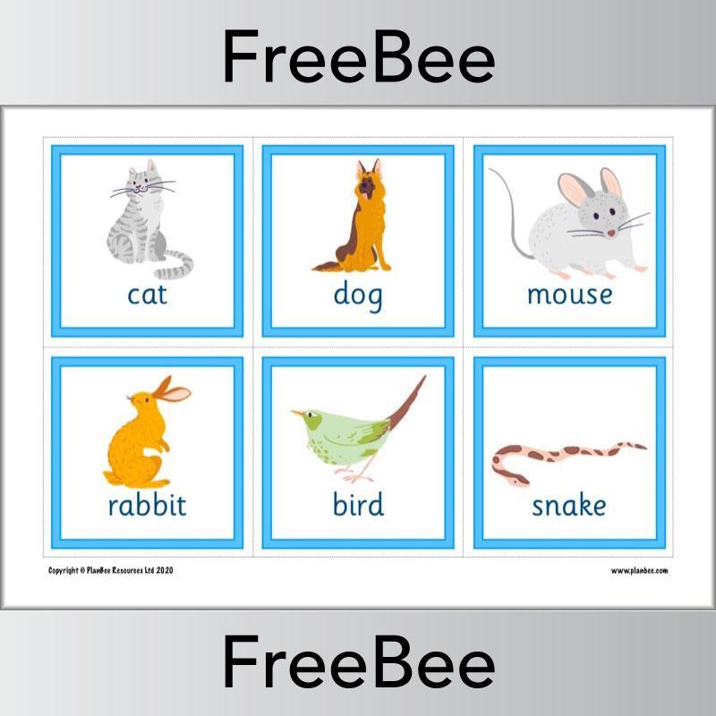 PlanBee Animal Flashcards | Free Teaching Resources | PlanBee