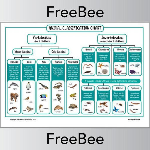 PlanBee FREE Animal Classification KS2 Chart by PlanBee