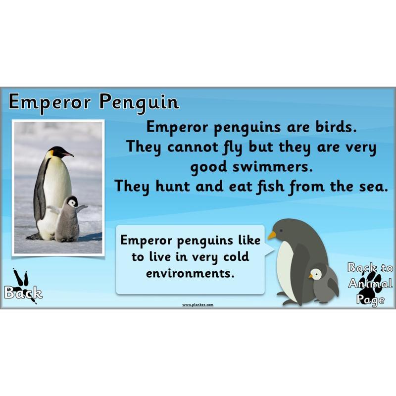 PlanBee Animals Around the World KS1 Geography - PlanBee