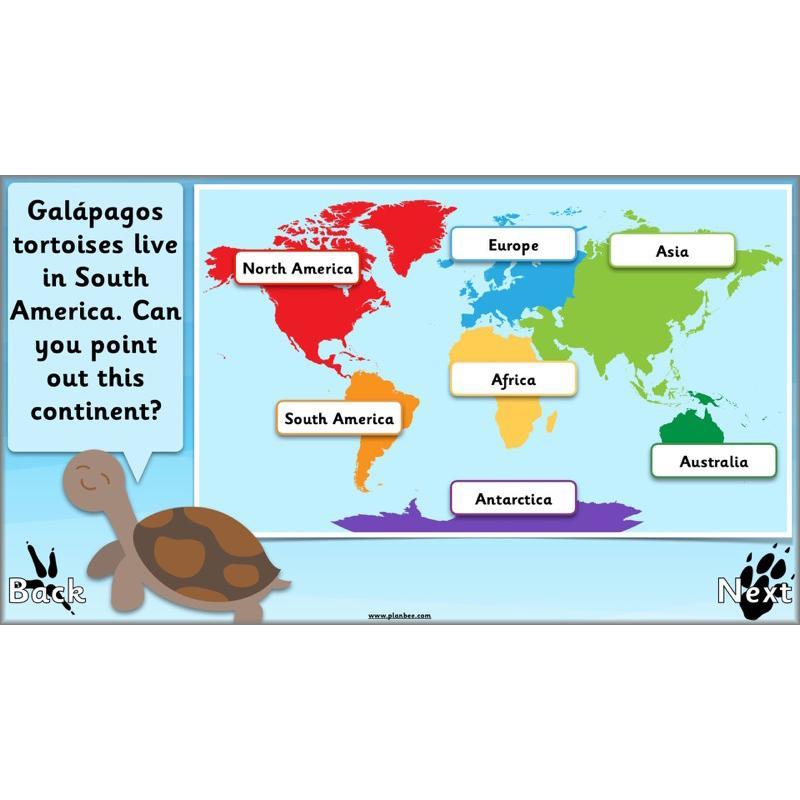 PlanBee Animals Around the World KS1 Geography - PlanBee