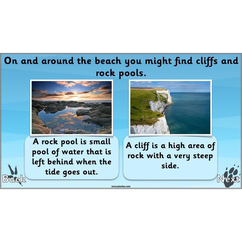 PlanBee Animals Around the World KS1 Geography - PlanBee