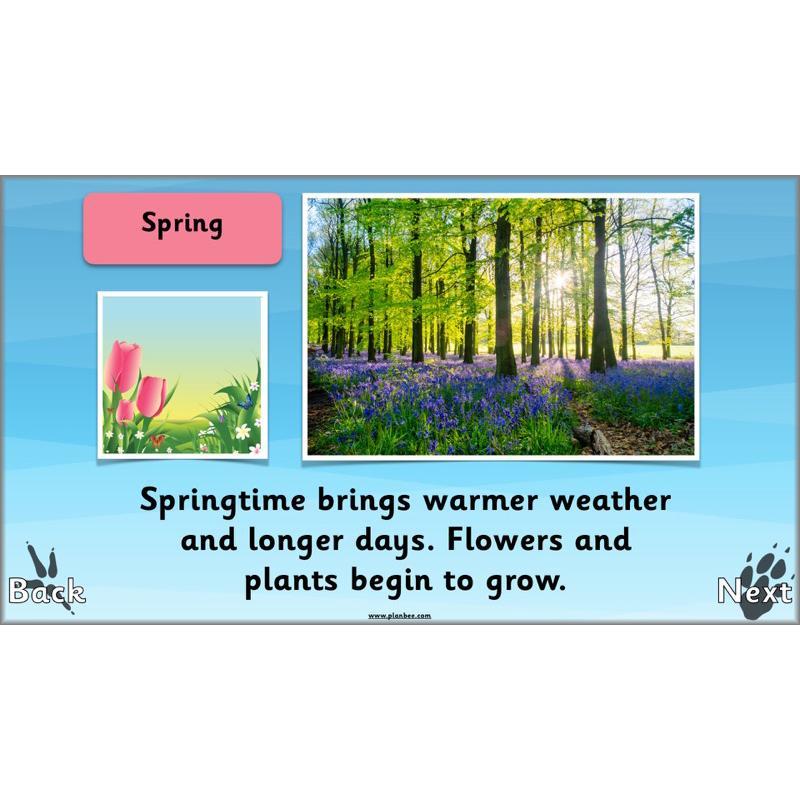 PlanBee Animals Around the World KS1 Geography - PlanBee