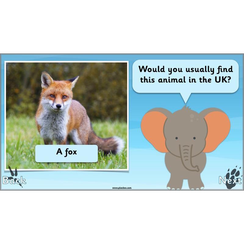 PlanBee Animals Around the World KS1 Geography - PlanBee