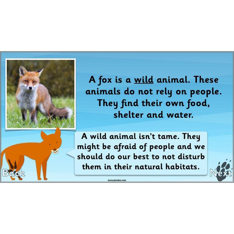 Animals Around The World KS1 Geography Lessons By PlanBee