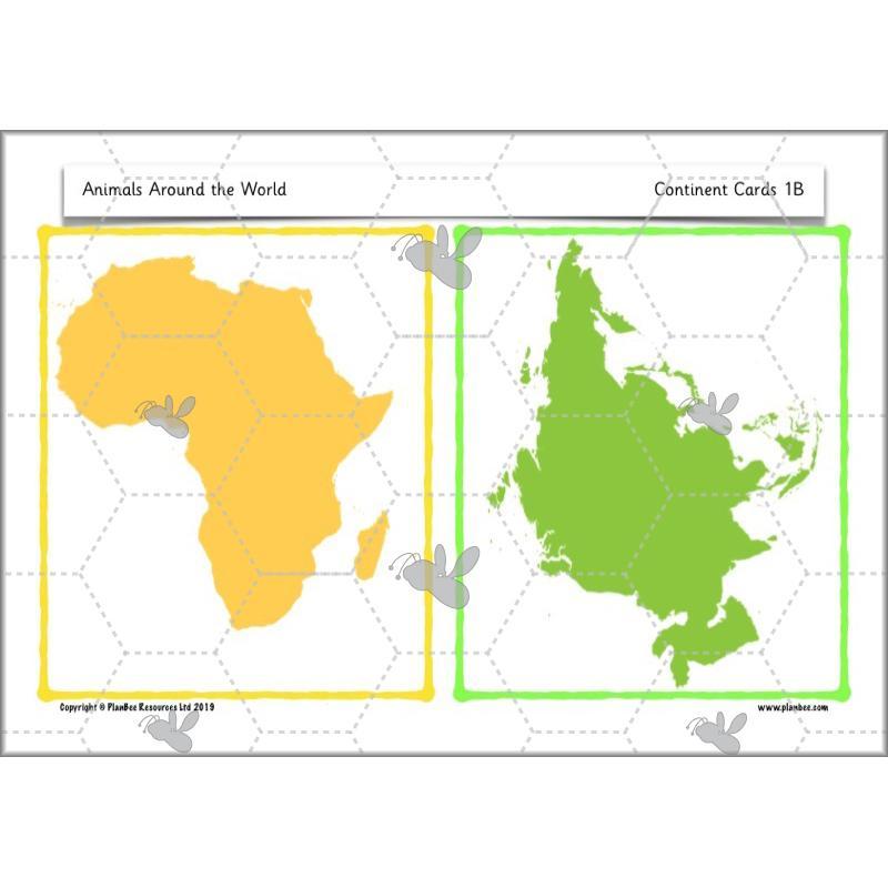 PlanBee Animals Around the World KS1 Geography - PlanBee