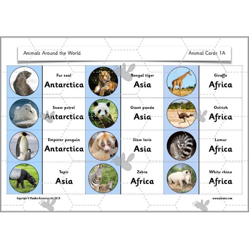 PlanBee Animals Around the World KS1 Geography - PlanBee
