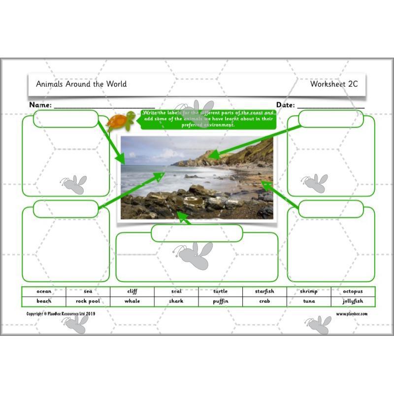 PlanBee Animals Around the World KS1 Geography - PlanBee