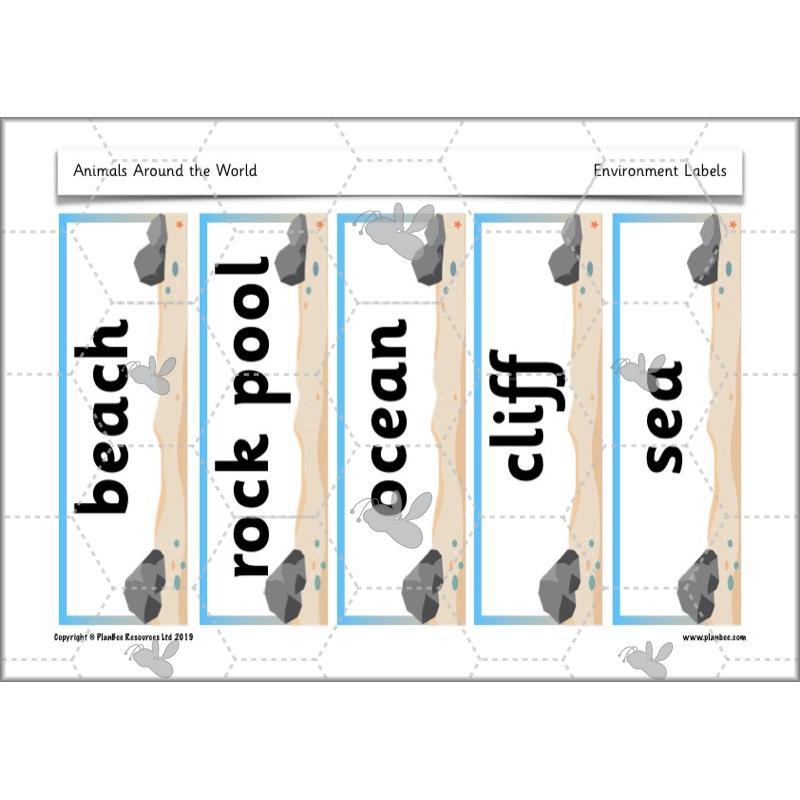 PlanBee Animals Around the World KS1 Geography - PlanBee
