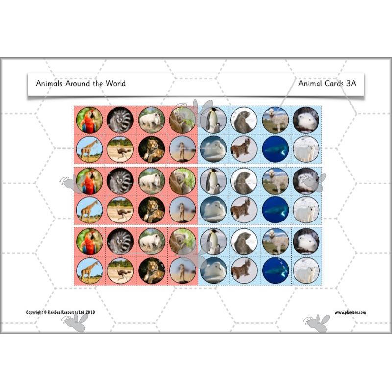 PlanBee Animals Around the World KS1 Geography - PlanBee