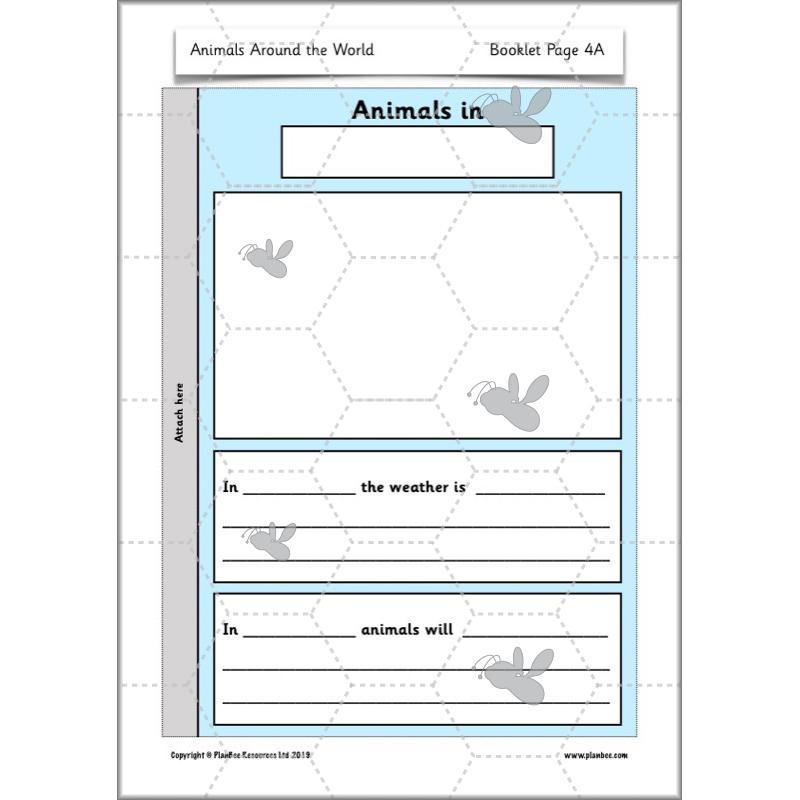 PlanBee Animals Around the World KS1 Geography - PlanBee