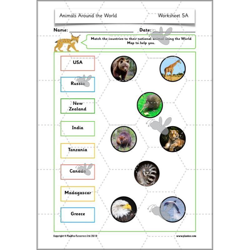 PlanBee Animals Around the World KS1 Geography - PlanBee