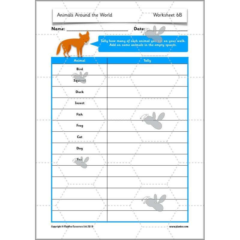 PlanBee Animals Around the World KS1 Geography - PlanBee