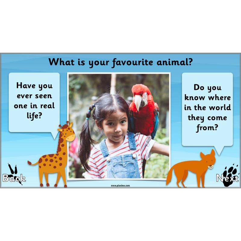 PlanBee Animals Around the World KS1 Geography - PlanBee