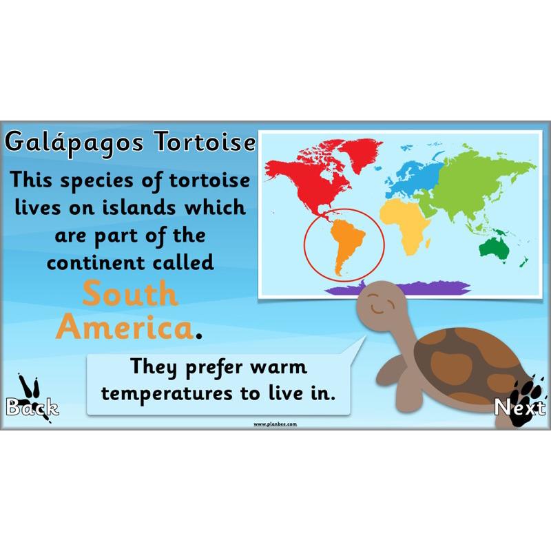 PlanBee Animals Around the World KS1 Geography - PlanBee