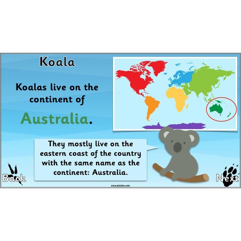 PlanBee Animals Around the World KS1 Geography - PlanBee