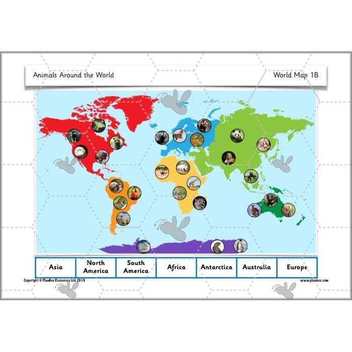 PlanBee Animals Around the World KS1 Geography - PlanBee