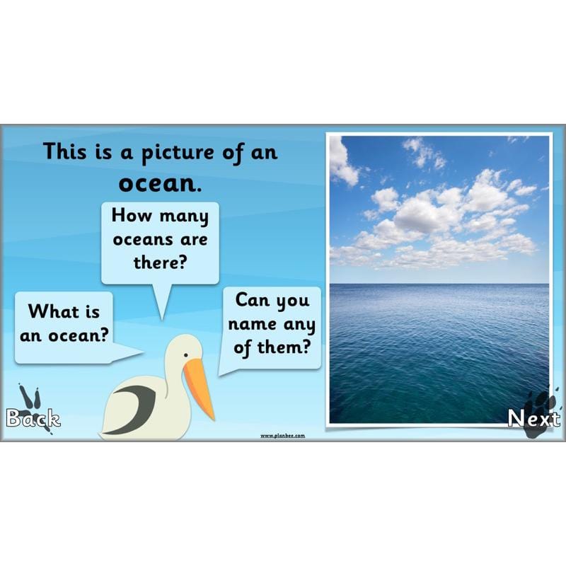 PlanBee Animals Around the World KS1 Geography - PlanBee