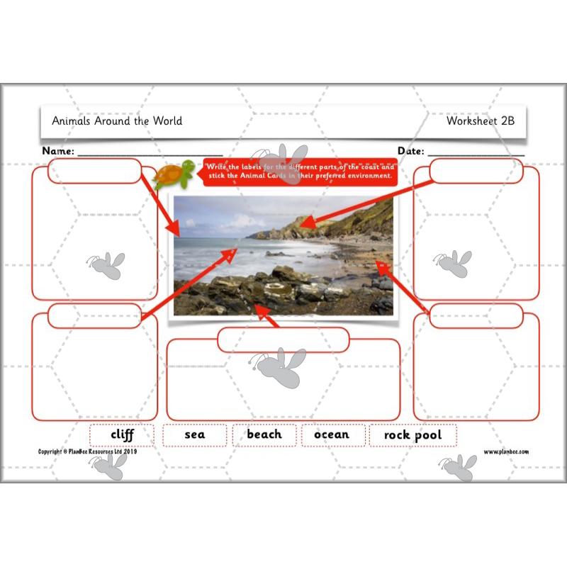 PlanBee Animals Around the World KS1 Geography - PlanBee