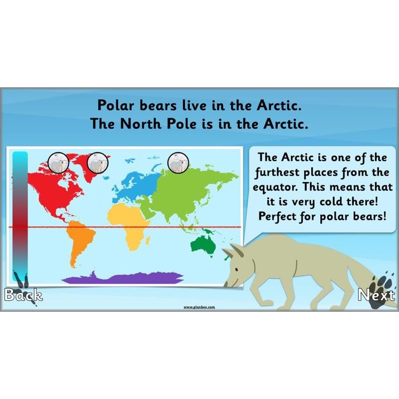 PlanBee Animals Around the World KS1 Geography - PlanBee