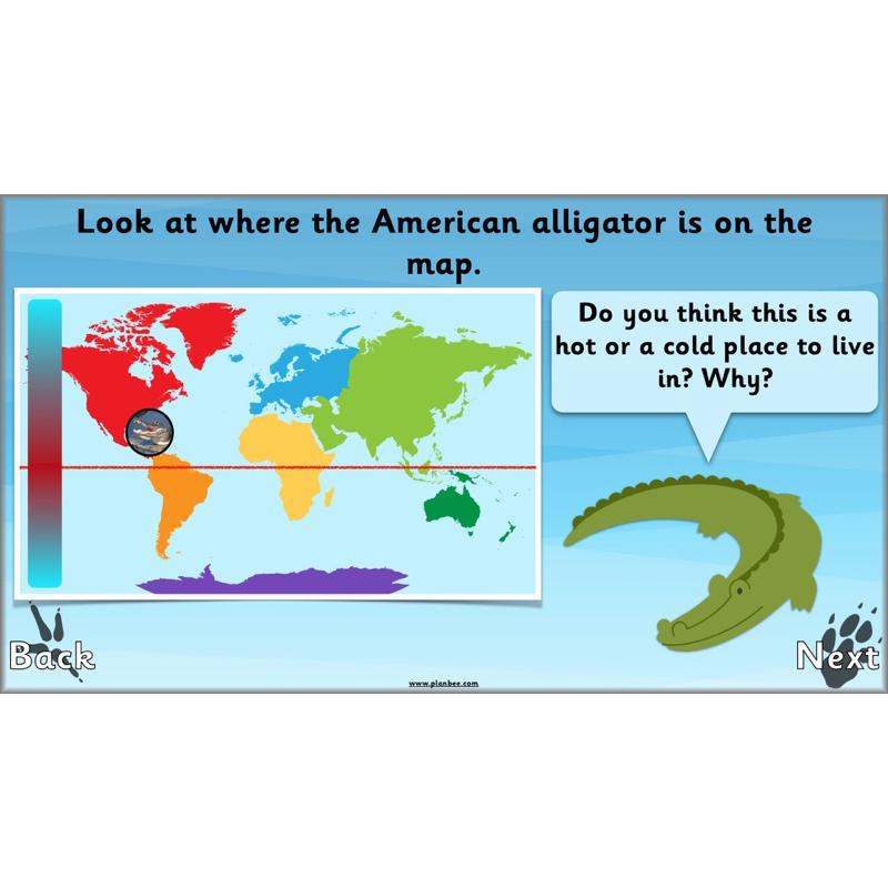 PlanBee Animals Around the World KS1 Geography - PlanBee