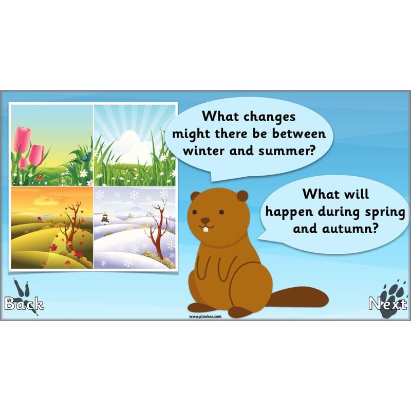 PlanBee Animals Around the World KS1 Geography - PlanBee