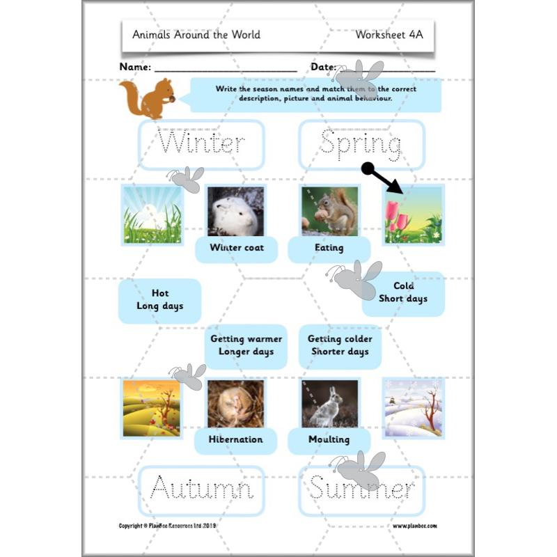 PlanBee Animals Around the World KS1 Geography - PlanBee