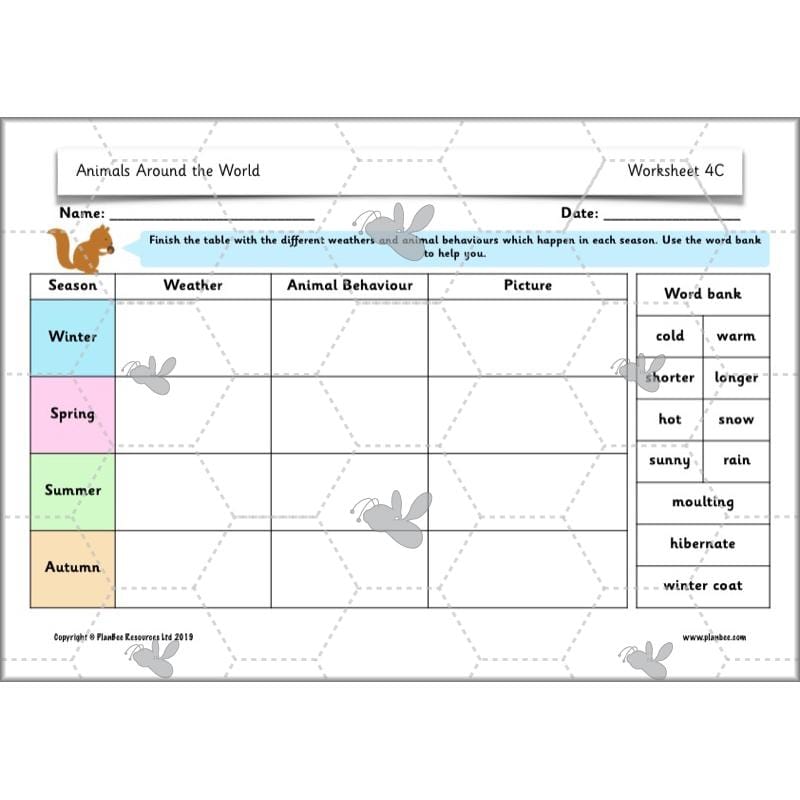 PlanBee Animals Around the World KS1 Geography - PlanBee
