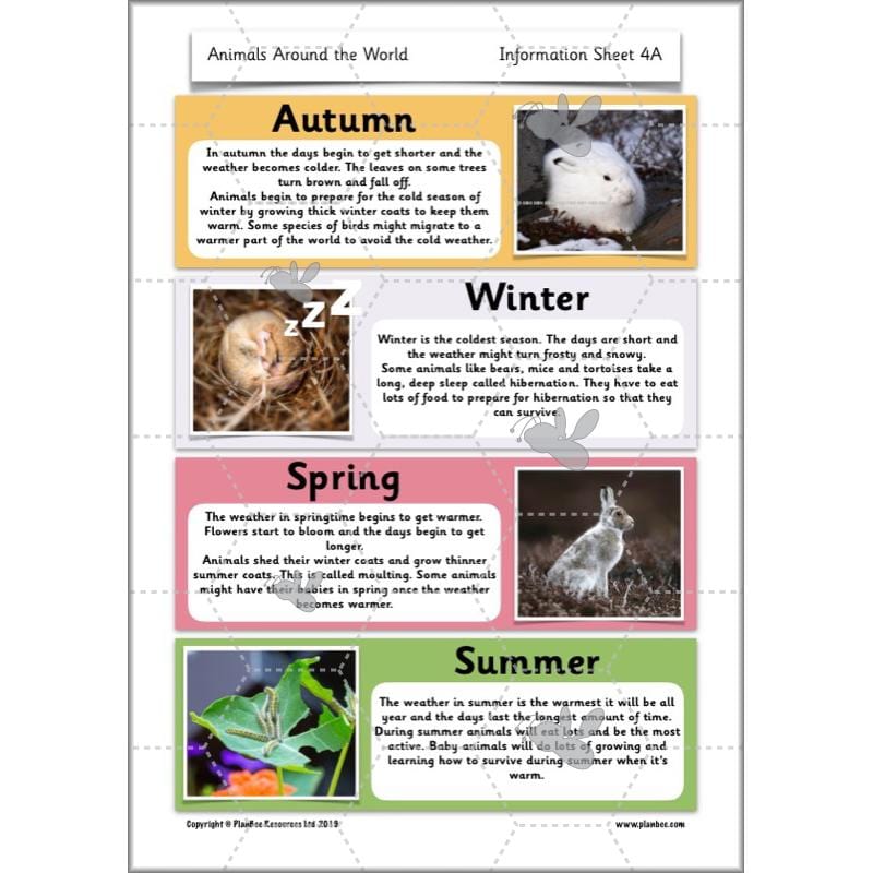 PlanBee Animals Around the World KS1 Geography - PlanBee