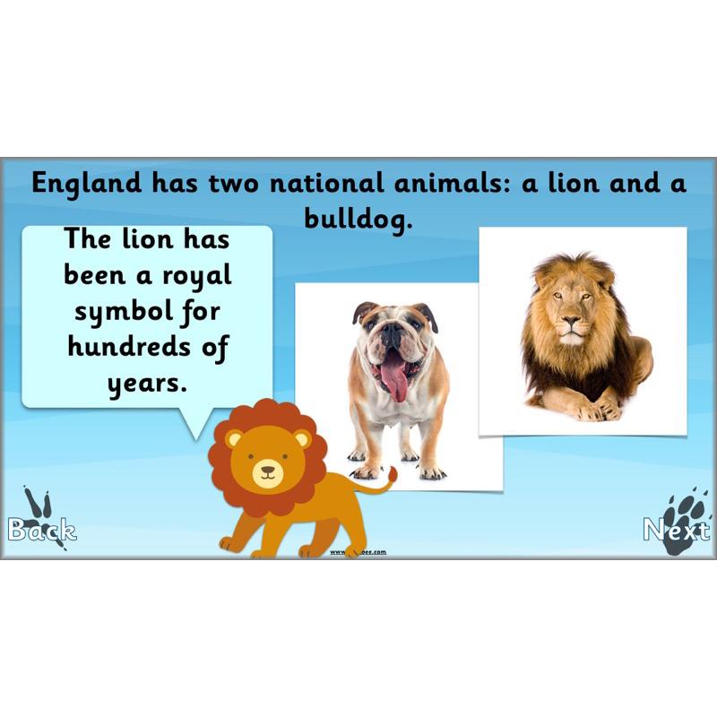 PlanBee Animals Around the World KS1 Geography - PlanBee