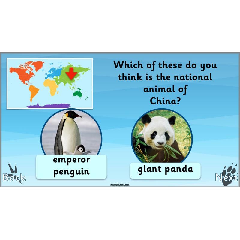 PlanBee Animals Around the World KS1 Geography - PlanBee