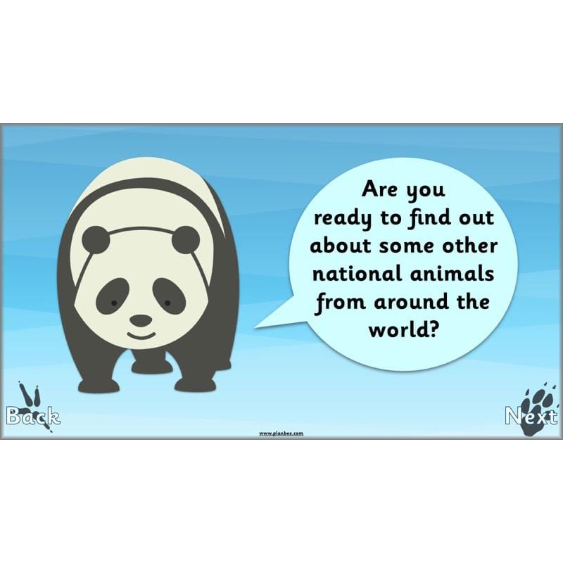 PlanBee Animals Around the World KS1 Geography - PlanBee