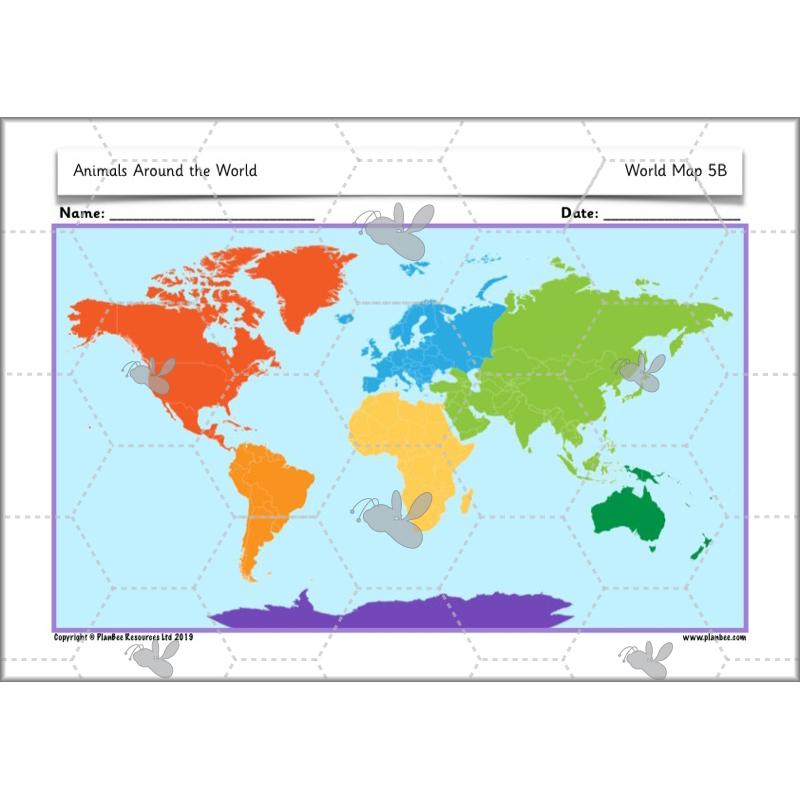 PlanBee Animals Around the World KS1 Geography - PlanBee