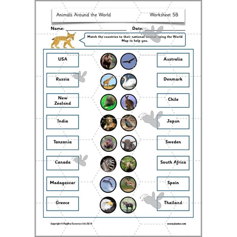 PlanBee Animals Around the World KS1 Geography - PlanBee