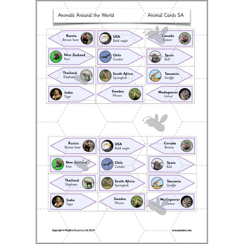 PlanBee Animals Around the World KS1 Geography - PlanBee