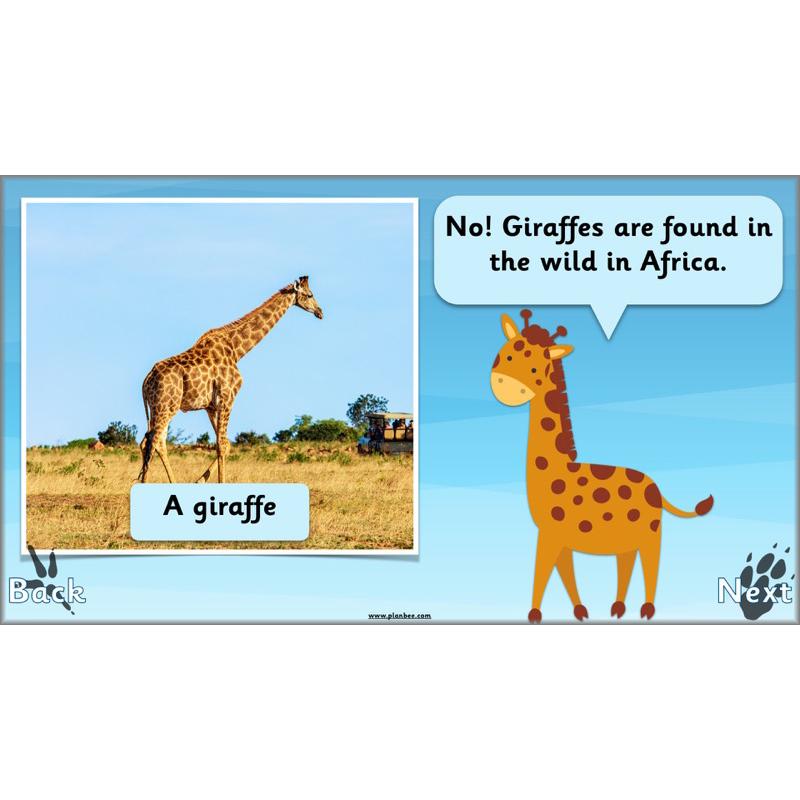 PlanBee Animals Around the World KS1 Geography - PlanBee