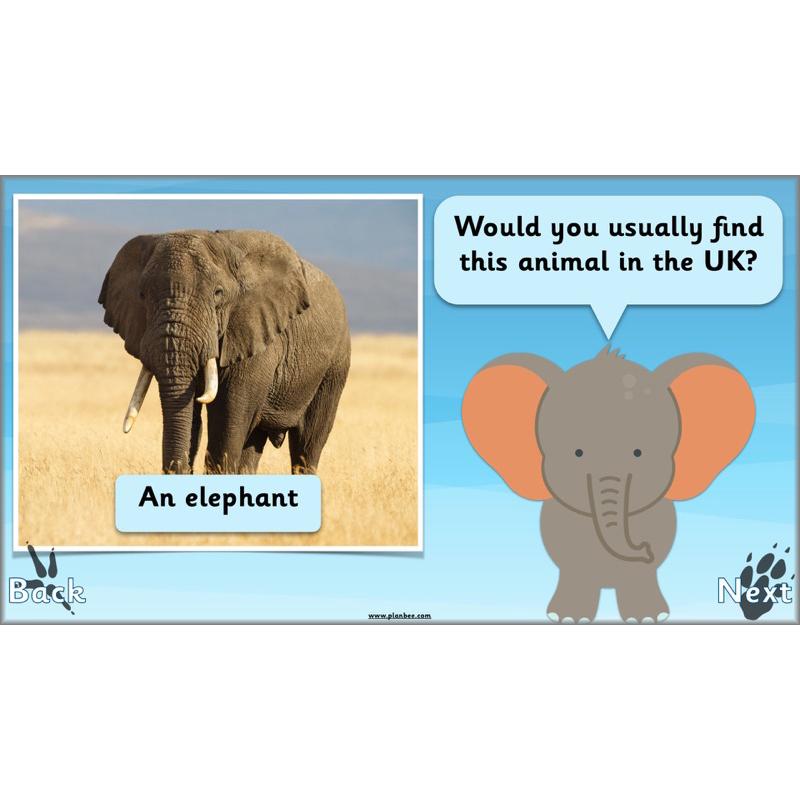 PlanBee Animals Around the World KS1 Geography - PlanBee