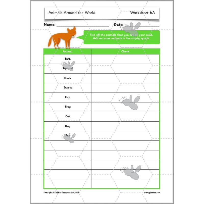 PlanBee Animals Around the World KS1 Geography - PlanBee