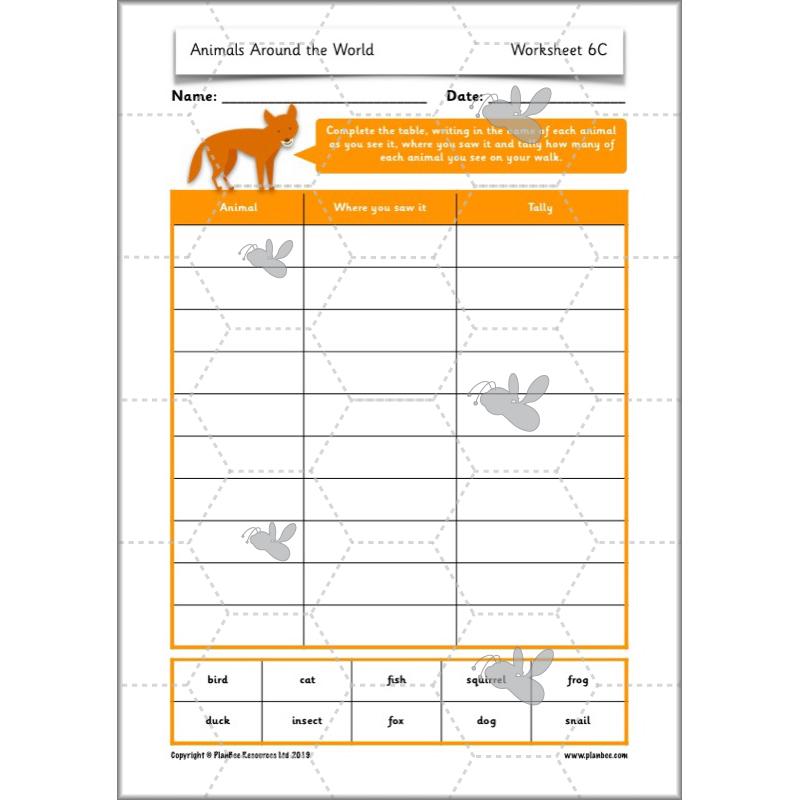 PlanBee Animals Around the World KS1 Geography - PlanBee