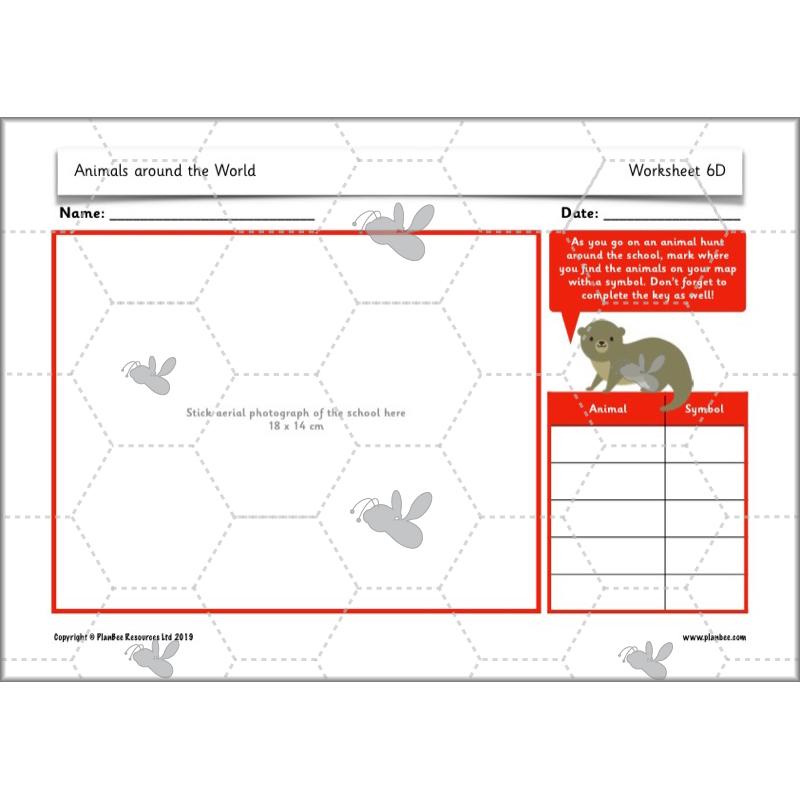 PlanBee Animals Around the World KS1 Geography - PlanBee
